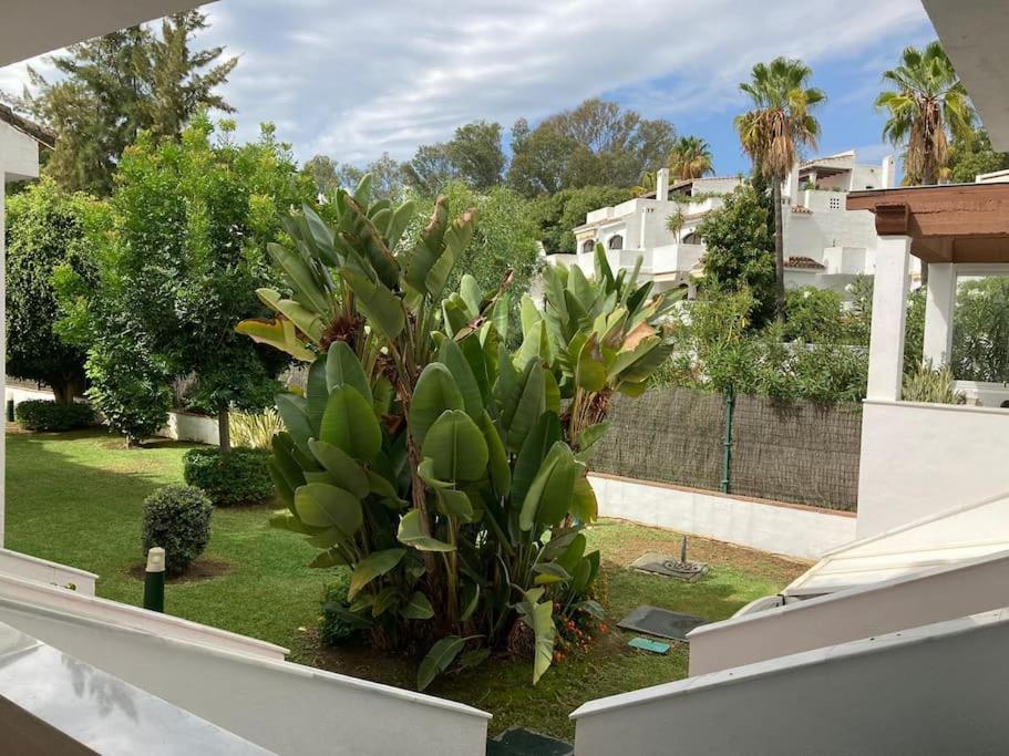 Casa Graciosa Apartemen *